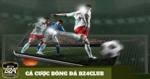 Các Giải Đấu Quốc Tế: World Cup Và Euro