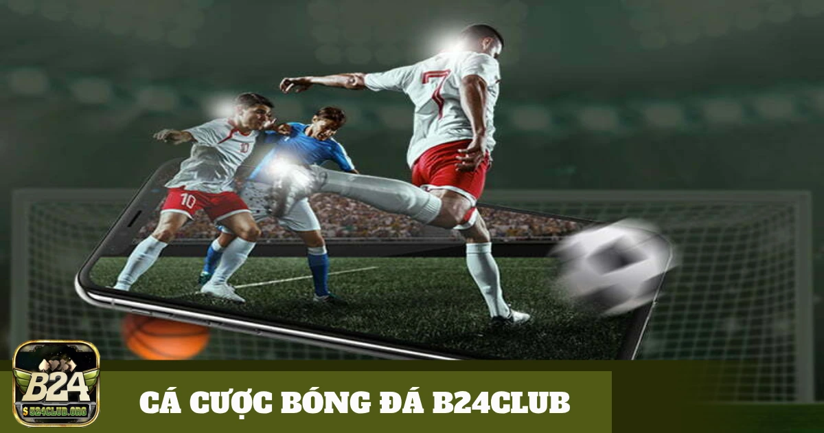 Các Giải Đấu Quốc Tế: World Cup Và Euro